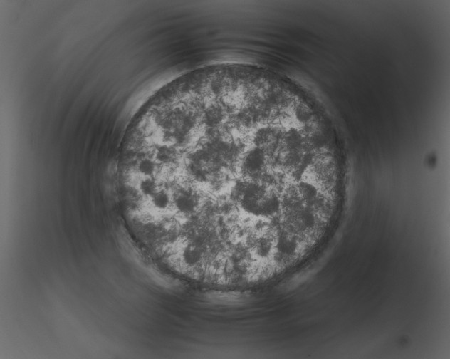 X0000115741121200912241641