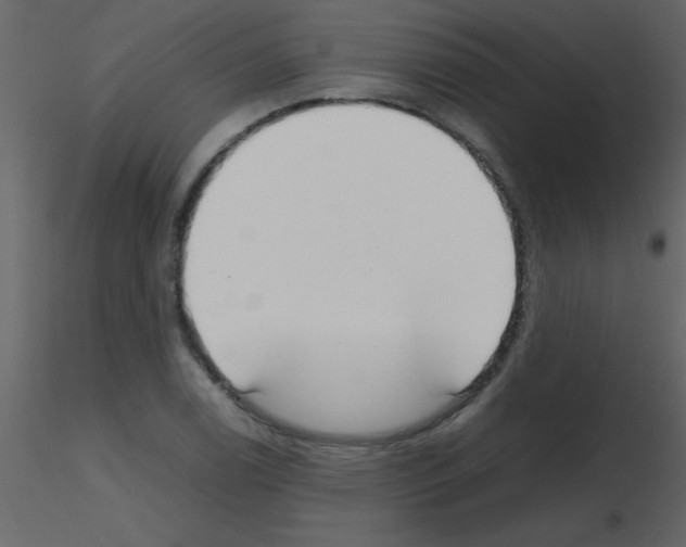 X0000115741122200912241641