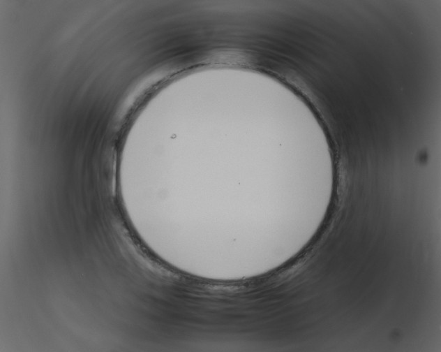 X0000115741123200912241641