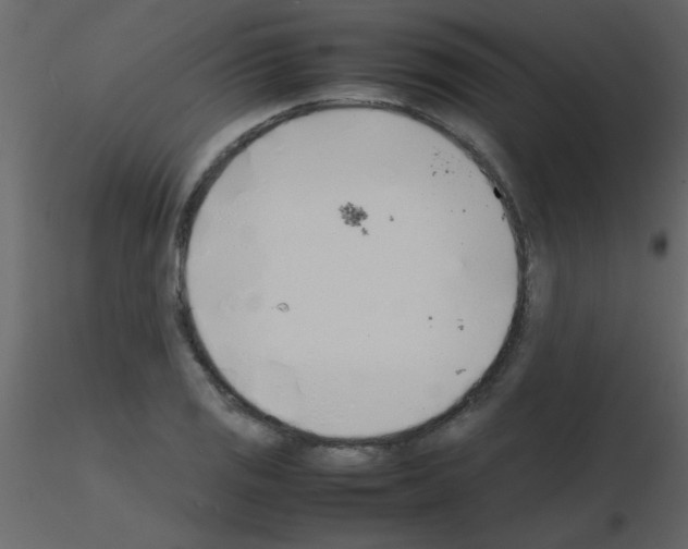 X0000115741125200912241641