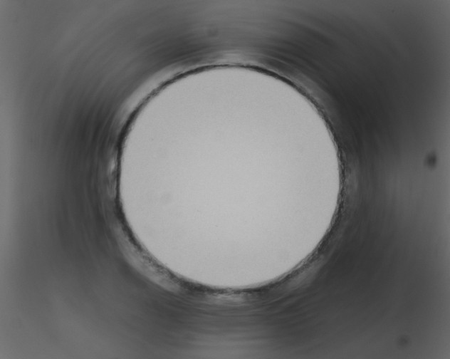 X0000115741126200912241641