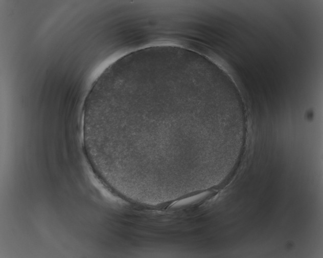 X0000115741127200912241641