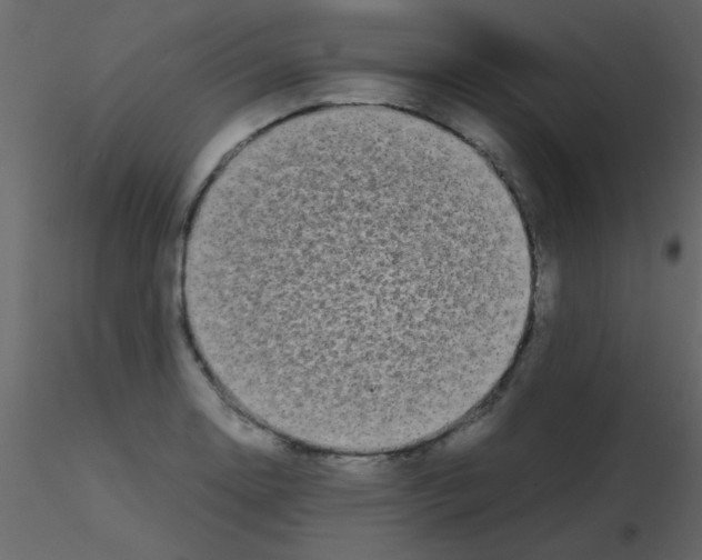 X0000115741130200912241641