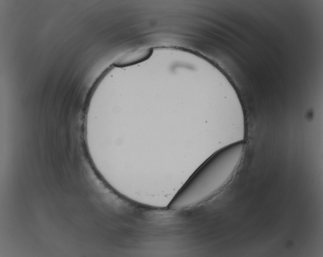 X0000115741134200912241641