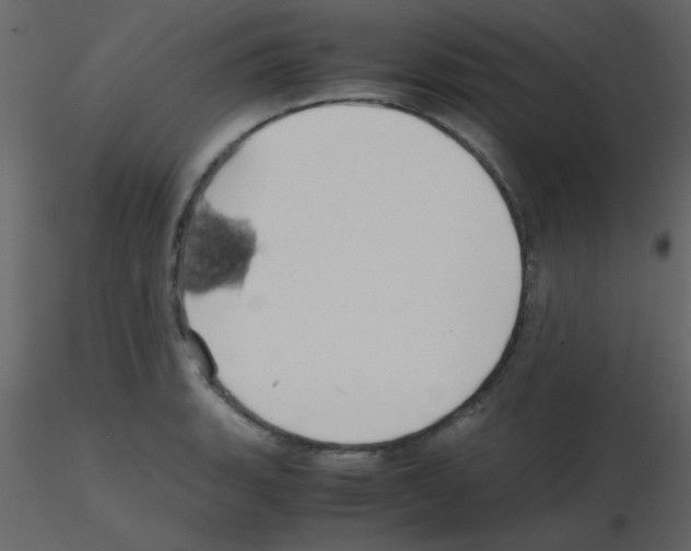 X0000115741135200912241641