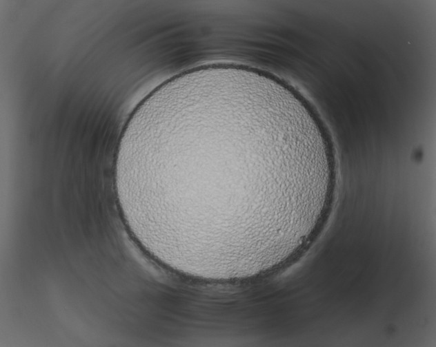 X0000115741137200912241642