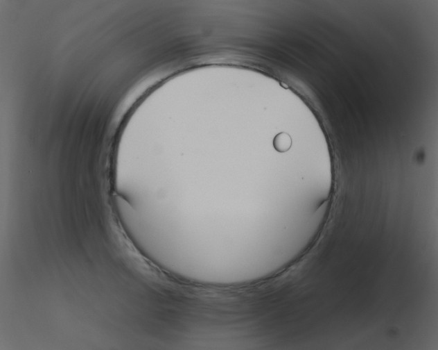 X0000115741138200912241642