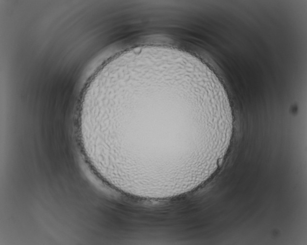 X0000115741139200912241642