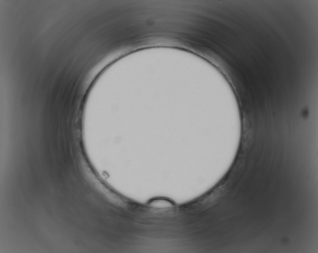 X0000115741142200912241642