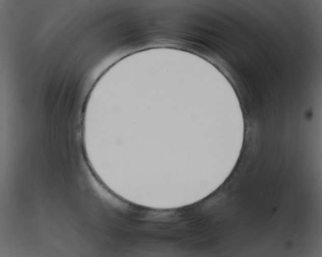 X0000115741143200912241642