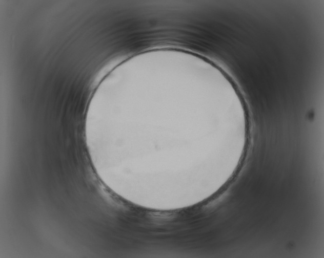 X0000115741145200912241642