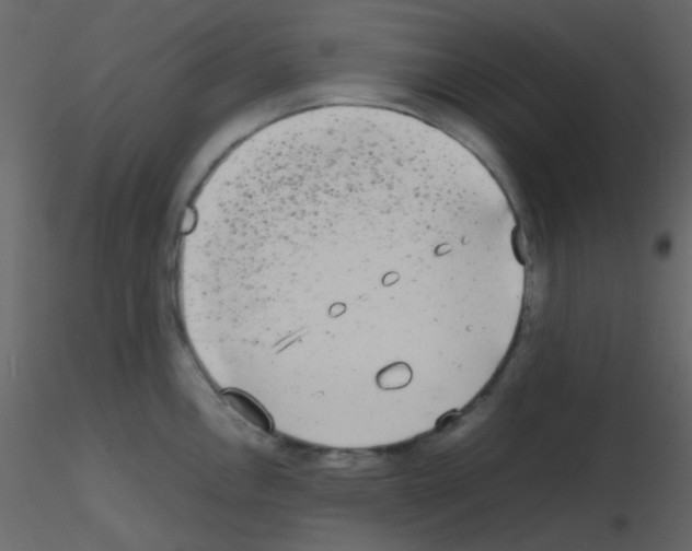 X0000115741146200912241642