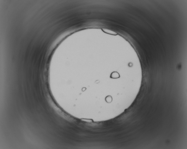 X0000115741147200912241642