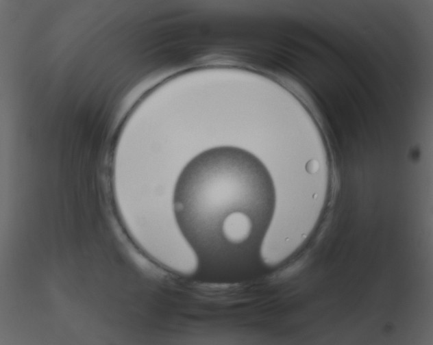 X0000115741149200912241642