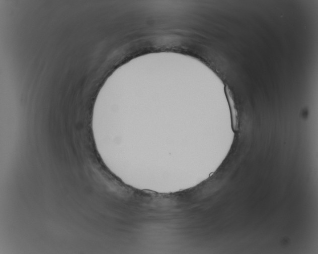 X0000115741153200912241641