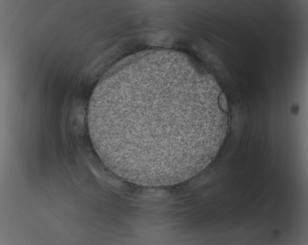 X0000115741154200912241641