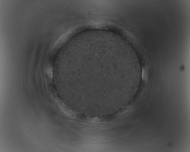 X0000115741155200912241641