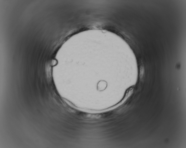 X0000115741156200912241641