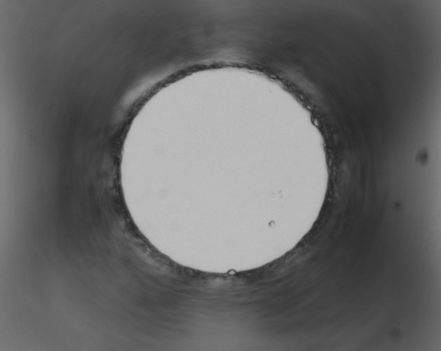 X0000115741160200912241641