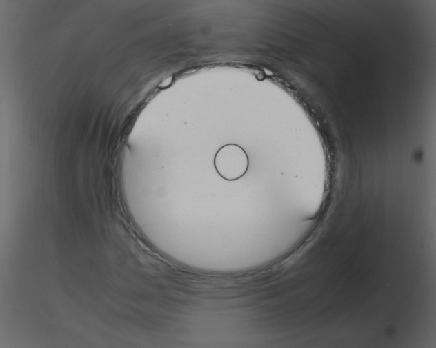 X0000115741161200912241641