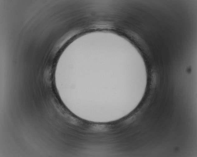 X0000115741162200912241641