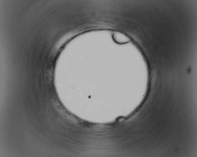 X0000115741163200912241641