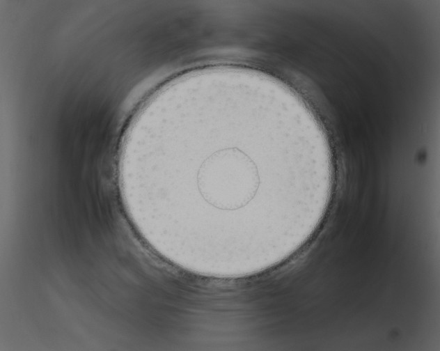 X0000115741164200912241641