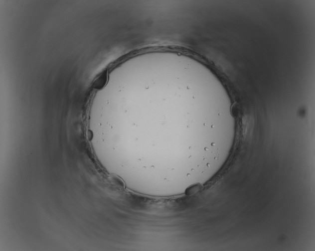 X0000115741165200912241641