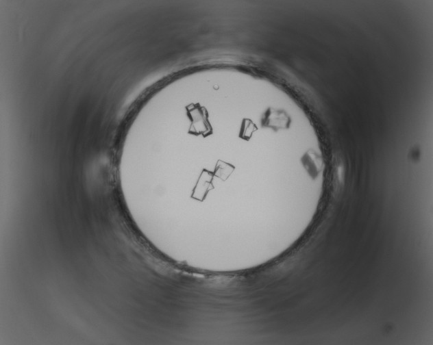 X0000115741166200912241641