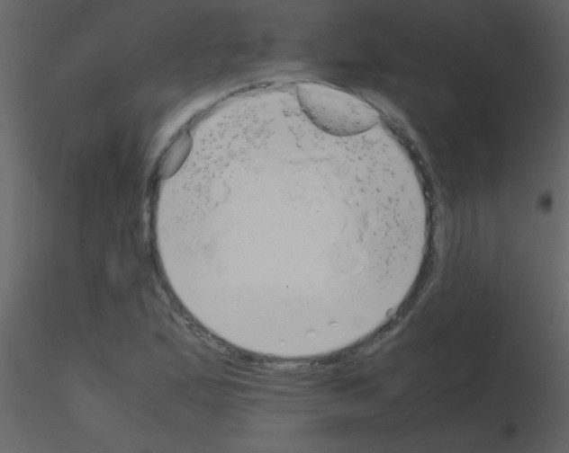 X0000115741167200912241641