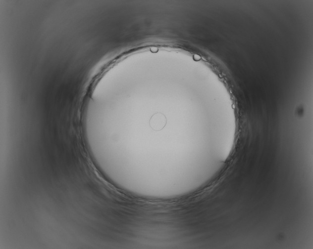 X0000115741168200912241641