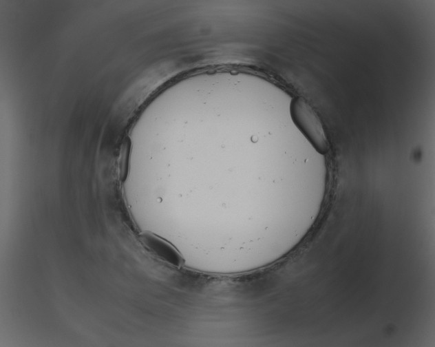 X0000115741169200912241641