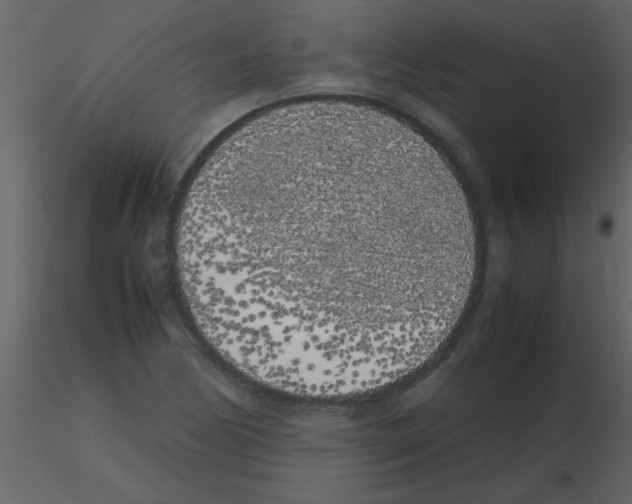 X0000115741170200912241641