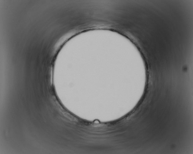 X0000115741171200912241641