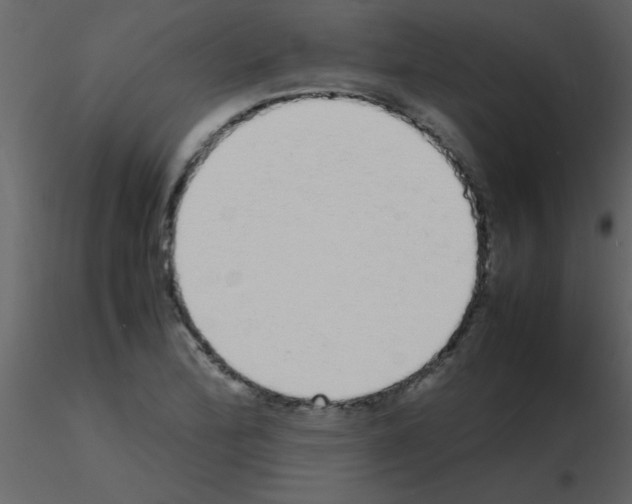 X0000115741172200912241641