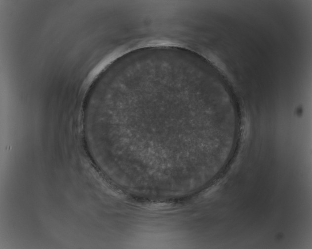 X0000115741173200912241641