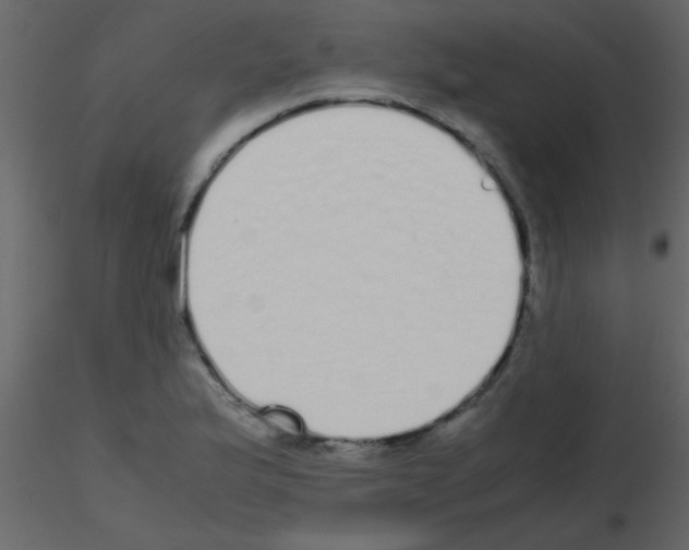 X0000115741175200912241641