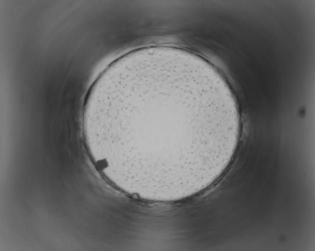 X0000115741176200912241641