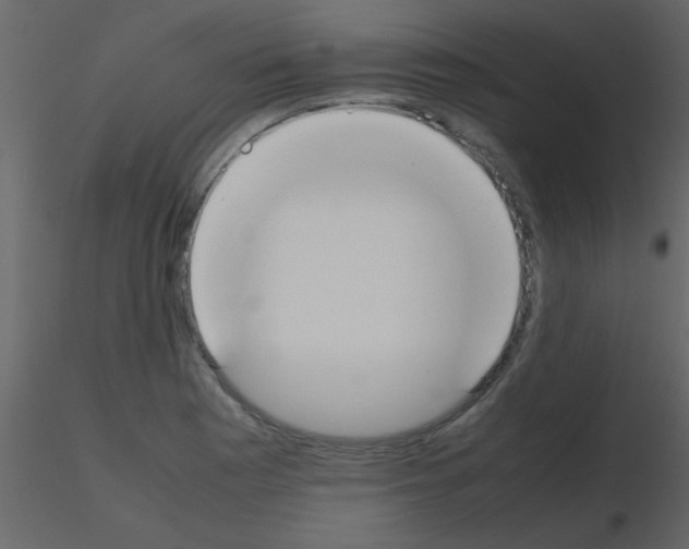 X0000115741177200912241641