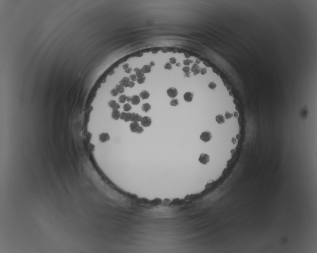 X0000115741178200912241641