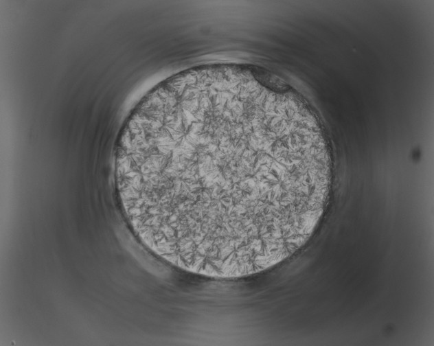 X0000115741179200912241641