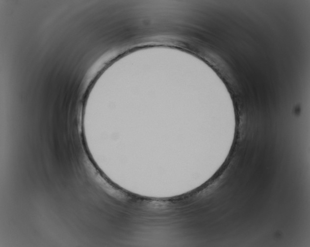 X0000115741180200912241641