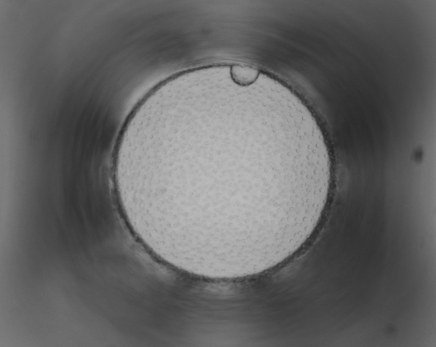 X0000115741182200912241641