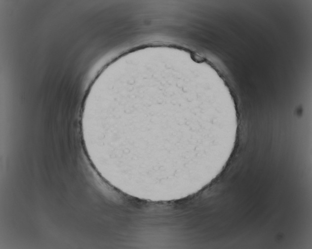 X0000115741183200912241641