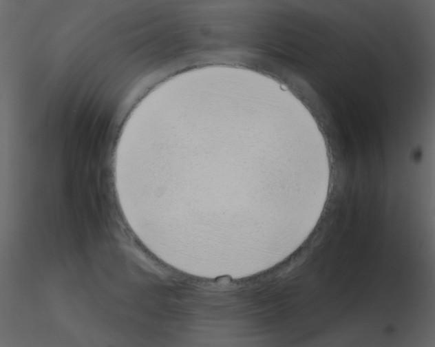 X0000115741184200912241641