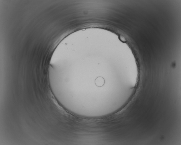 X0000115741185200912241641