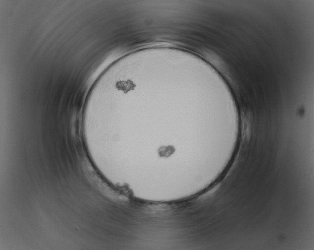 X0000115741186200912241641