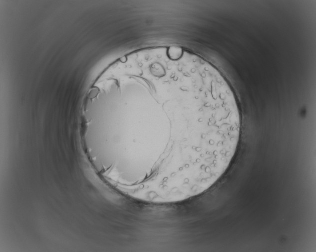 X0000115741187200912241641