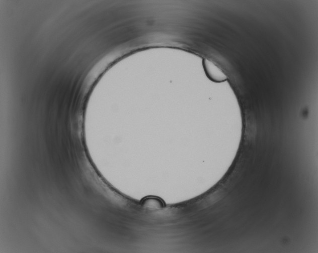 X0000115741188200912241641