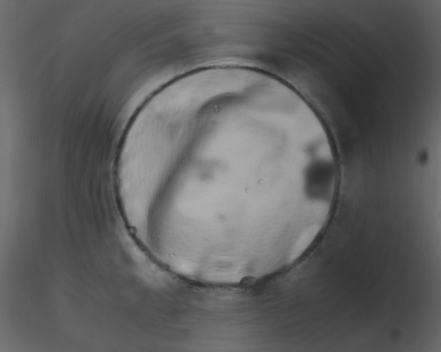 X0000115741189200912241641